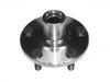 轮毂轴承单元 Wheel Hub Bearing:43502-21010